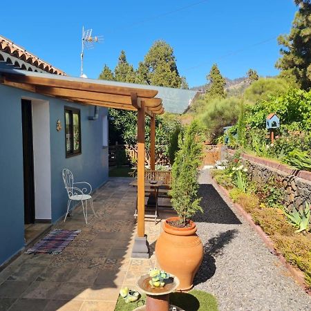 Vila Casa Rosales With Pool & Wifi Puntagorda Exteriér fotografie
