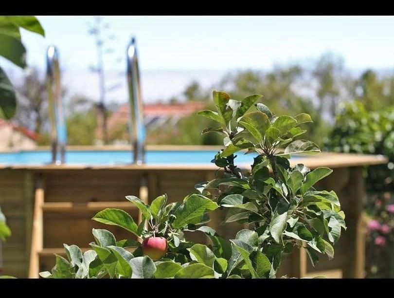 Vila Casa Rosales With Pool & Wifi Puntagorda Exteriér fotografie